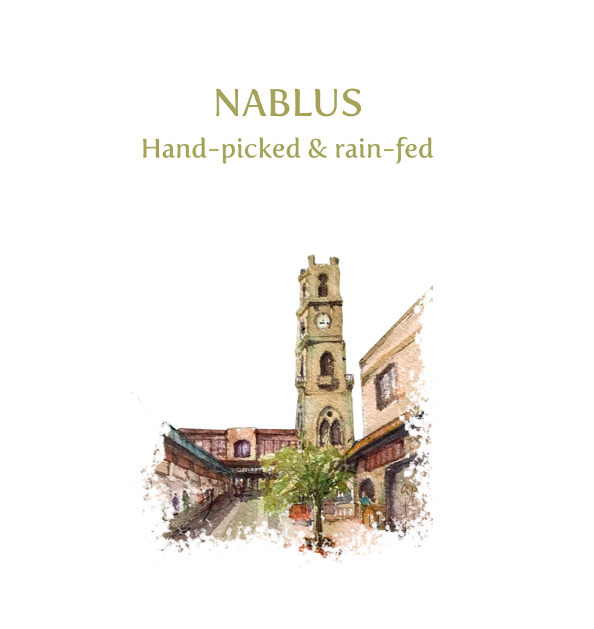 NABLUS Premium Extra Virgin Olive Oil