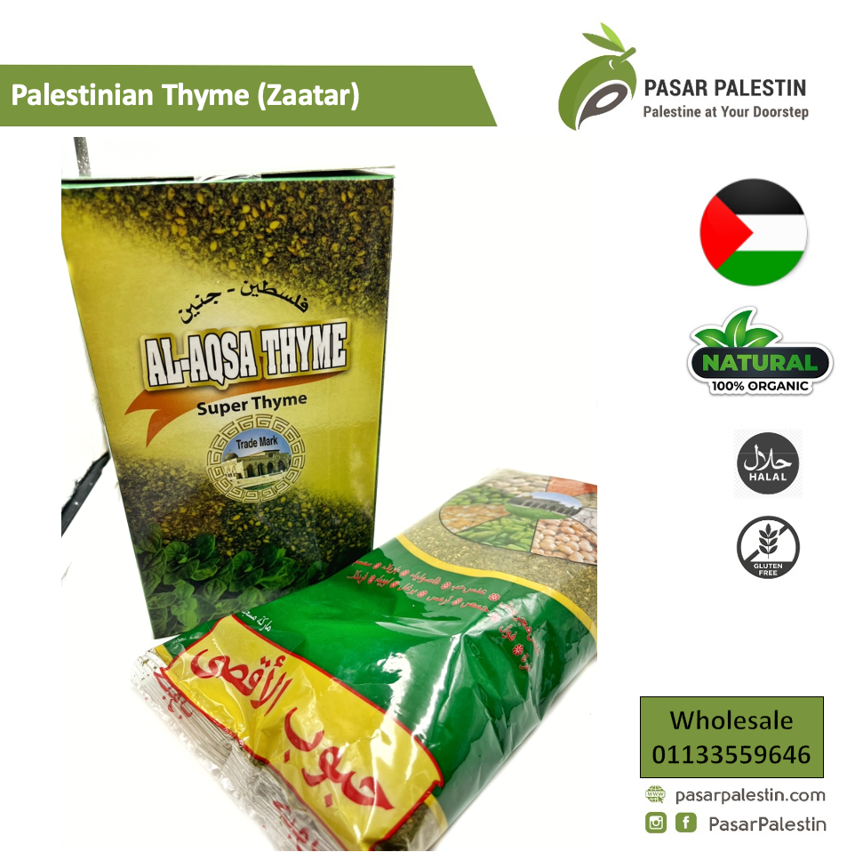 Palestinian Thyme